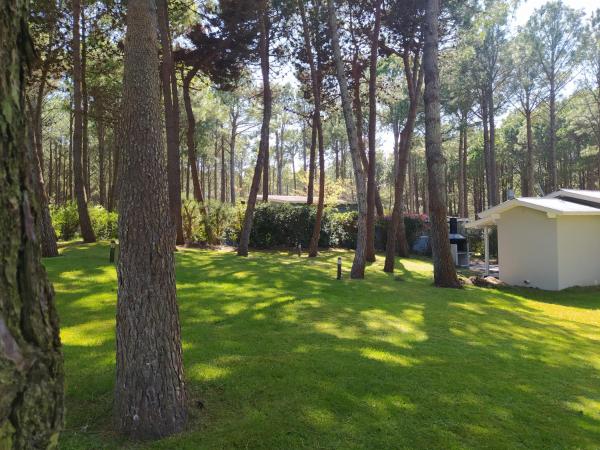 un patio con árboles y un cobertizo blanco en Pinamar Norte Casa Aquiles 8 pax en Pinamar