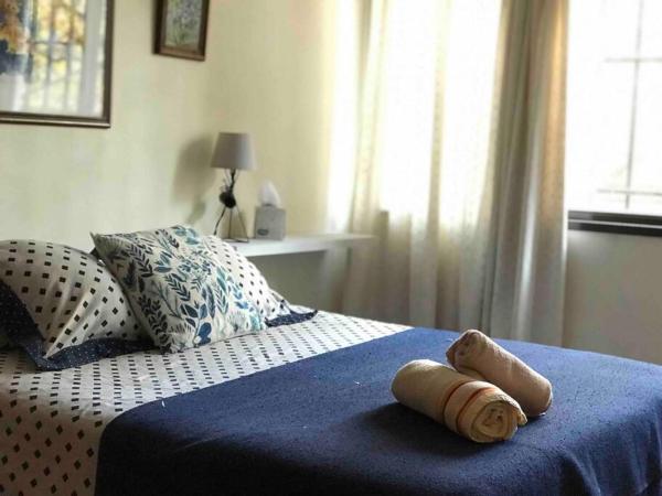 1 dormitorio con 1 cama con manta azul y ventana en APARTMENT DOWNTOWN MENDOZA en Mendoza
