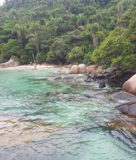 a river with turquoise water and rocks and trees at Olhar da Barra Hospedagem - Refugio Urbano I in Florianópolis