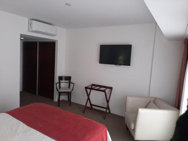 1 dormitorio con 1 cama, 1 silla y Tv LED en Hotel Neptuno en Mar del Plata