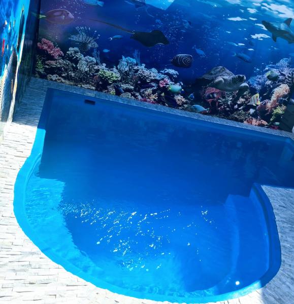una piscina con un acuario de fondo en D'maro hotel, en Playa del Carmen