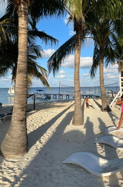 una playa con palmeras y gente en la playa en estudio de hotel con playa beach front aparmet, en Cancún