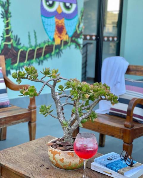 a bonsai tree on a table with a glass of wine at Hospedaria da Lagoa in Florianópolis