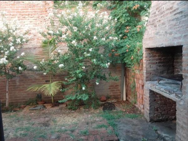 a garden with a tree and a brick wall at Departamento Boulevard Santa Fe in Santa Fe