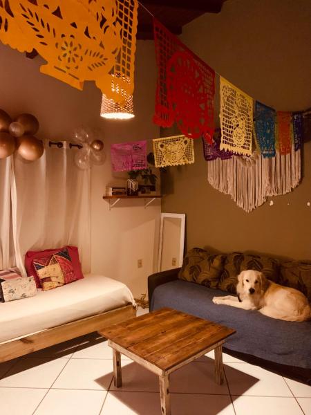 a dog laying on a couch in a living room at Boa Vibe Complexo Rosa Norte in Praia do Rosa