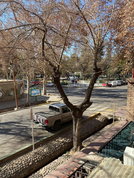 un coche aparcado junto a un árbol en una calle en Departamento Plaza Independencia Mza Edificio Antiguo en Mendoza