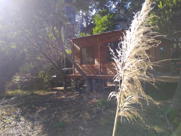 una cabaña de madera en el bosque con el sol brillante en Pensamientos del alma en Balneari Mar Azul