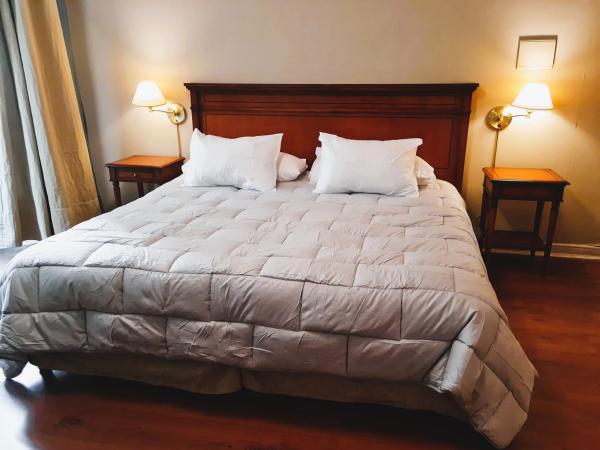 1 dormitorio con 1 cama grande y 2 mesitas de noche en Estudio / monoambiente ubicación privilegiada, en Mendoza