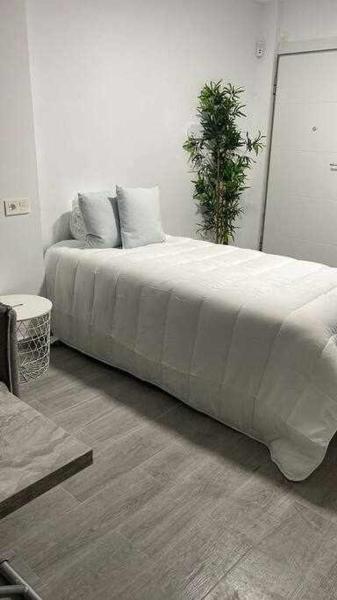 Cama blanca grande en habitación blanca con planta en Balneario Pedregalejo Loft C, en Málaga