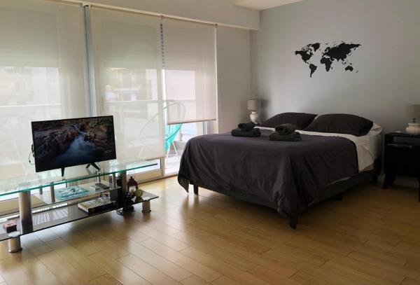 1 dormitorio con 1 cama y Tv LED en Cozy Studio in Palermo Soho with security 24 hs en Buenos Aires