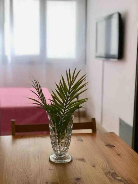 un jarrón de cristal con una planta en una mesa en Departamento con inmejorable ubicación en Mardel en Mar del Plata