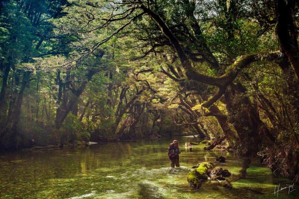 un hombre caminando por un río en un bosque en Hermoso Eco Lodge en San Martín de los Andes