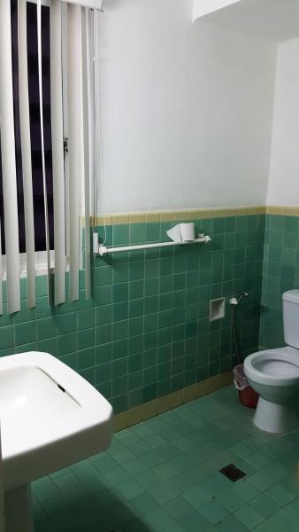Baño de azulejos verdes con aseo y lavamanos en Clara Aniuta Appartement 1, en La Habana