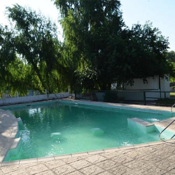 una piscina con agua verde en un patio en HOTEL OLIVIA, en Mina Clavero