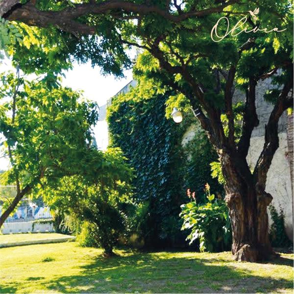un árbol en la hierba al lado de un edificio en HOTEL OLIVIA, en Mina Clavero