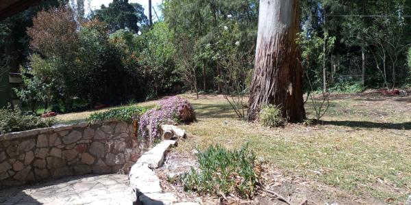 un jardín con un árbol y una pared de piedra en Villa Paz & Tranquilidad en Sierra de los Padres
