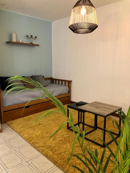 1 dormitorio con cama, mesa y planta en El cielo apartamento en Mendoza