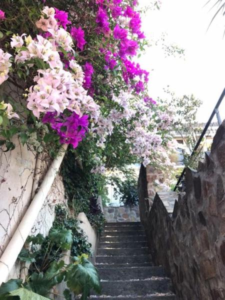 una escalera con flores colgando de una pared en Lapacho Hostel Salta Loft 1-4 personas en Salta