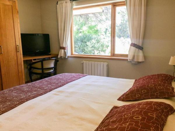 1 dormitorio con 1 cama, TV y ventana en Roca 3 en San Martín de los Andes