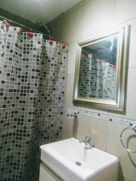 baño con lavabo y ducha con ventana en Económico y Hermoso Loft, cerca de todo! en Buenos Aires