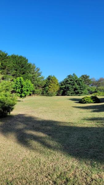 un gran campo de césped con árboles en el fondo en VILLAGE PARK en Tandil