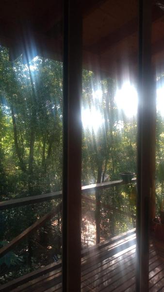 ventana con vistas a un bosque con árboles en Casa Monte en Puerto Iguazú
