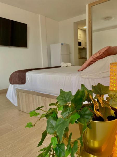 Habitación de hotel con cama y maceta en Lujoso piso con vista al mar en la cala de mijas, en Málaga
