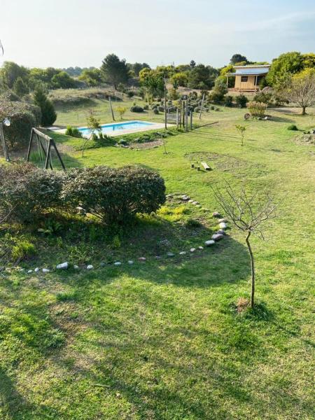 un pequeño árbol en medio de un campo en Las Rosas en Balneario Mar Azul