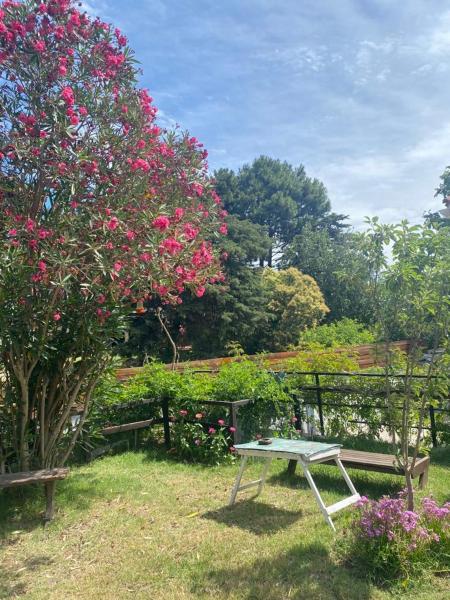 una mesa de picnic y un árbol con flores rosas en Familia del Viento en Ostende