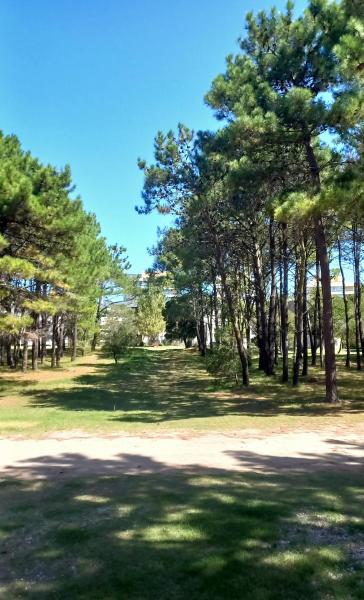 un parque con árboles y un camino de tierra en Natureza en Pinamar