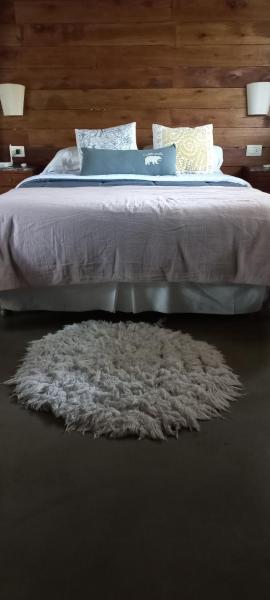 1 dormitorio con 1 cama con alfombra en el suelo en Suite de campo en Chascomús