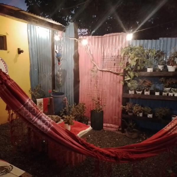 un jardín con una hamaca en una habitación con plantas en Casa hasta 5 personas en Gualeguaychú