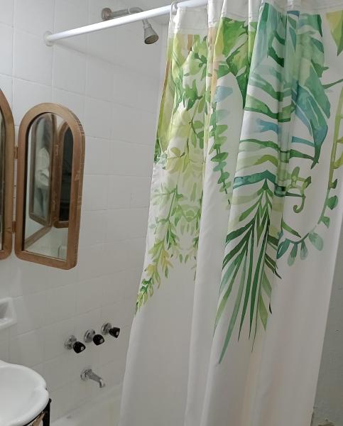 baño con cortina de ducha con hojas en Departamento en Recoleta en Buenos Aires