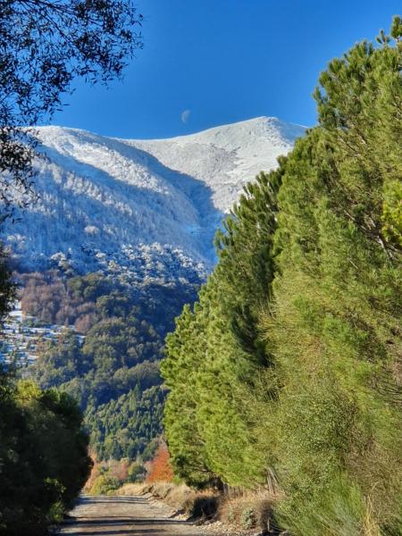 un camino de tierra con árboles y una montaña cubierta de nieve en Entre Verdes en San Martín de los Andes