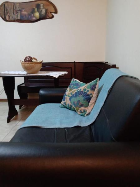 un sofá con una almohada y una mesa en Alegra Centro en San Martín de los Andes
