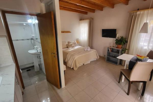 1 dormitorio con 1 cama y baño con lavamanos en Hermoso loft en Barrio Bombal en Mendoza