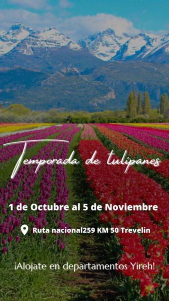 un campo de flores con montañas en el fondo en Yireh en Esquel