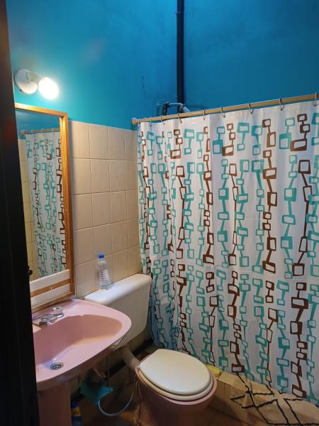 y baño con lavabo, aseo y cortina de ducha. en La Ituzaingó en Mendoza