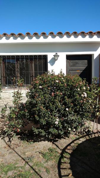 un arbusto con flores delante de una casa en Hospedaje de Lili en Salta