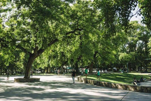 un parque con gente sentada en el césped bajo los árboles en Centric cozy apartment with yard en Mendoza
