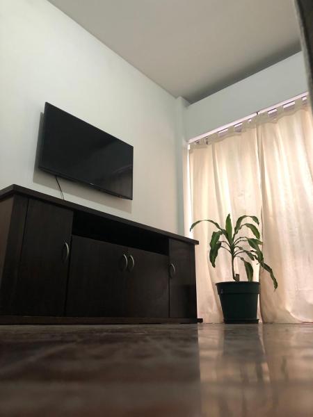sala de estar con Tv LED y planta en DEPARTAMENTO PLENO CENTRO en Mendoza