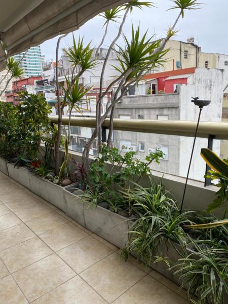Un balcón con un montón de plantas. en Grand Juncal apartment Recoleta en Buenos Aires