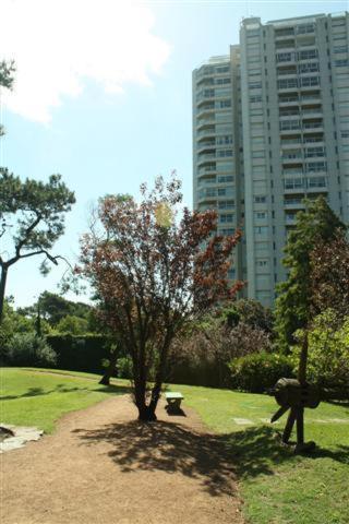 un árbol en un parque con un edificio al fondo en Apartamento en Punta del Este Playa Mansa, en Punta del Este