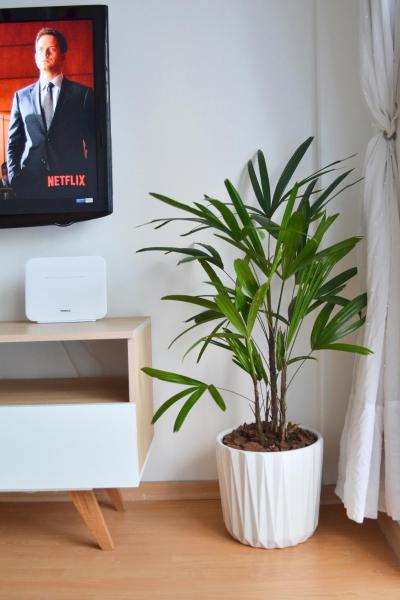 una planta en una olla blanca junto a una TV en Departamento muy buena ubicación 2 ambientes a estrenar muy cómodo en Buenos Aires