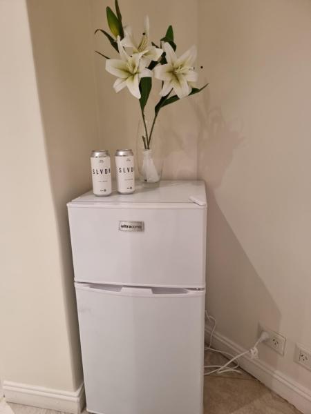 un refrigerador blanco con un jarrón de flores encima en Fashion and Travel Centro en Buenos Aires