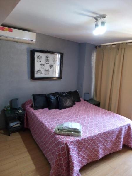1 dormitorio con 1 cama con colcha rosa en Departamentos Avenida San Martin en Mendoza