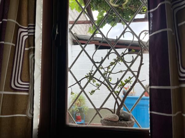 una ventana con una planta y rocas en ella en Casa Rústica Norteña Candy Con Parking en Salta