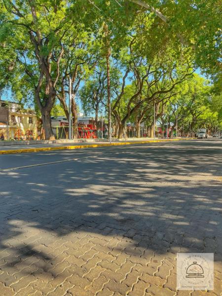 una calle vacía con árboles y una carretera arbolada en Departamento en Mendoza frente al paseo Alameda en Mendoza