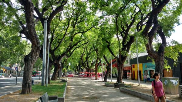 Foto de la galería de Alojamiento Aloja N1 en Mendoza