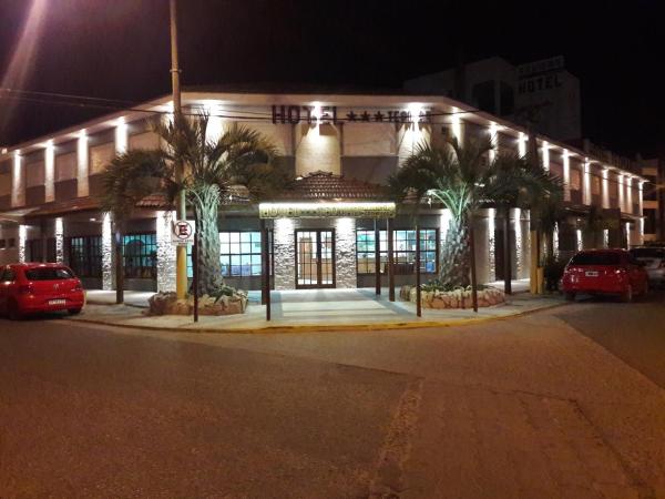 un edificio con palmeras frente a él por la noche en el Hotel Teomar de Villa Gesell